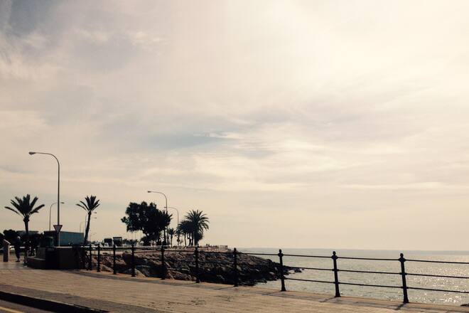 Aussicht von der Strecke des Frauenmarathons in Palma