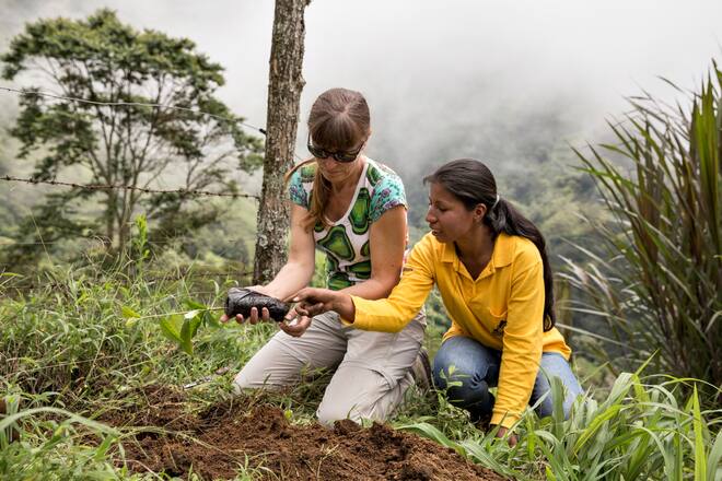 Nespresso Kaffee in die Tasse