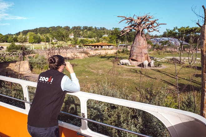 Zoodirektor Dr. Severin Dressen, Zürich Zoo, 2020