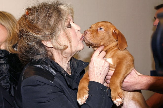 Brigitte Bardot hatte schon immer ein Herz für Tiere und ist leidenschaftliche Tierschützerin – bis heute.