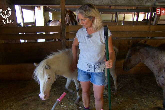 bauer ledig sucht Staffel 14 Bäuerin Sylvia