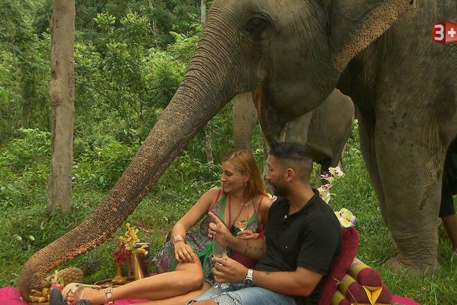 Bachelorette 2017 Folge 8