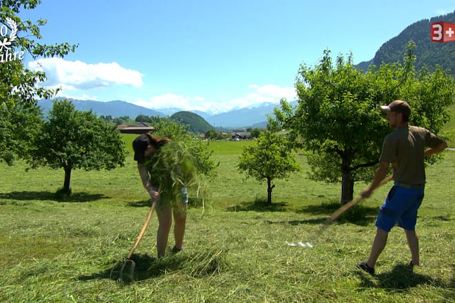 Bauer, ledig, sucht, Staffel 14, Folge 7