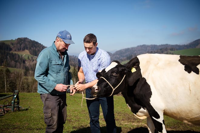 <p>Alberta ist die Tochter von seinem ersten Lebendpreis Alaska, die er am St. Galler Kantonalen in Tübach gewann.</p>