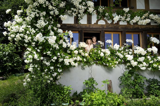 <p>Blütenpracht von weissen Rosen: Hanna Scheuring und Daniel Rohr leben in einem historischen Haus aus dem Jahr 1752.</p>