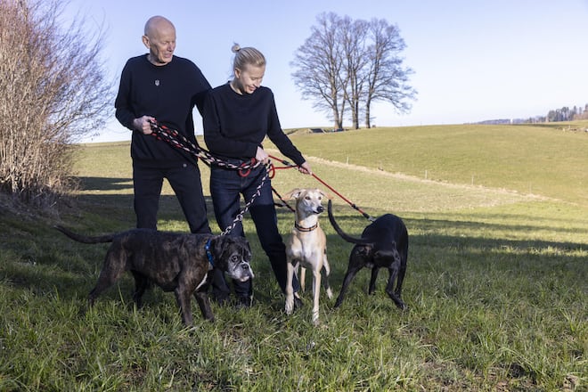 <p>Die Schlittenhunde Bundji (benannt nach Mujinga Kambundji) und Lasse sowie Boxerhündin Akira (v. r.) halten Koch und seine Frau auf Trab.</p>