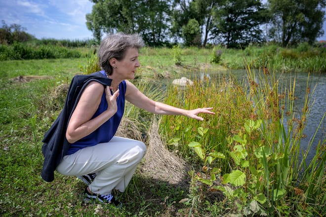 Bundesraetin Simonetta Sommaruga ist anlaesslich des EU Umweltministertreffen nach Prag gereist. Besuch eines Renaturierungsprojekt ausserhalb von Prag. Simonetta Sommaruga beim Versuch eine Libelle aus den Faengen einer Spinne zu retten. Bild © Remo Naegeli