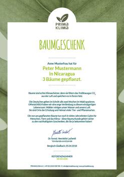 Baumurkunde Primaklima