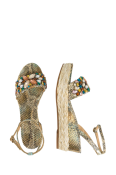 Globus Alma En Pena Muscheln