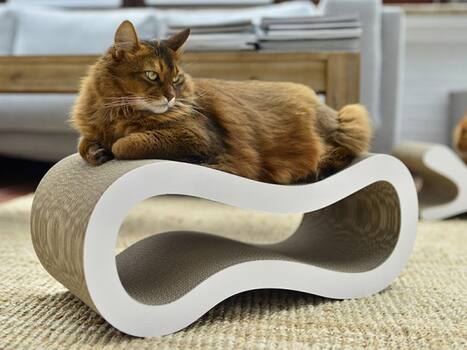 Kratzmöbel von Cat-On