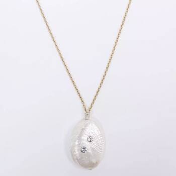 Muschelkette Wald Berlin