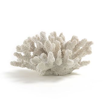 Wir holen uns die Karibik ins Wohnzimmer