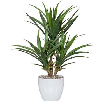 Wir holen uns die Karibik ins Wohnzimmer