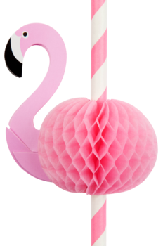 Trinkhalme Rosa Sunnylife